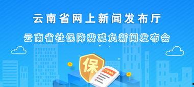 云南新闻爆料,揭秘神秘事件背后的真相